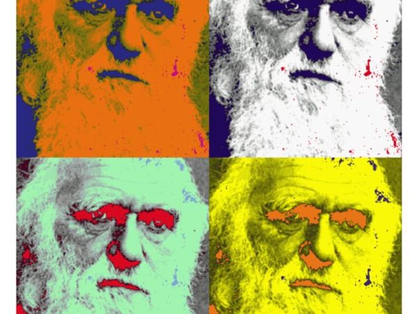 ACTIVITY 1 – “Myths and Misconceptions” and “What is Darwin’s Theory of Evolution?”