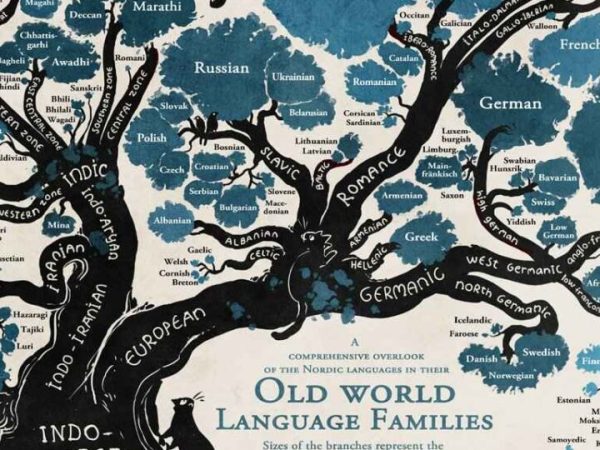As contribuições dos estudos sobre a Evolução da Língua