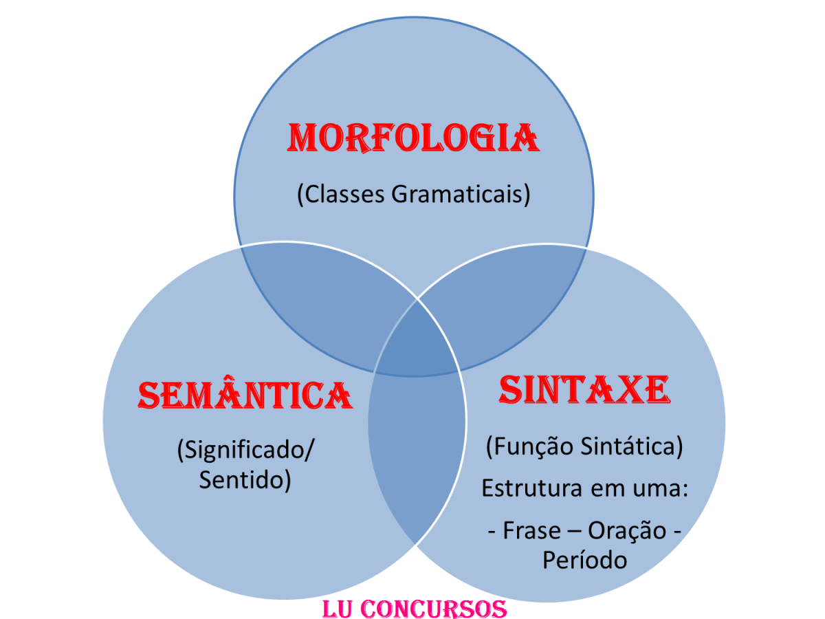 Explorando Sintaxe e Morfologia: A Base da Compreensão Linguística